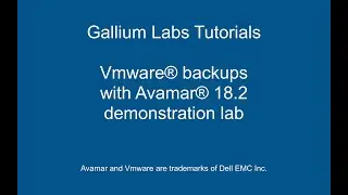 Vmware backups with Avamar