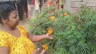 #shortvideo Valo lagke like siyar kment  Koro Amar kub balo #shortvideo #পার্বতী হোম ডেলিভারি 👍👍