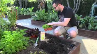 Jake's Insect Frass Treated Garden