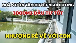 Nhà vườn đầu tư tâm huyết nghỉ dưỡng rộng 3000m2 lên đất thổ, giá rẻ nhanh lẹ, chợ Bình Chánh +7km