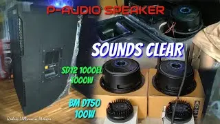 SOUNDS CLEAR TALAGA PAG P-AUDIO SPEAKER AND TWEETER,SD12 1000EL 1000W AES,BM D750 100W.