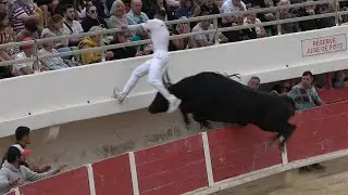 BEST-OFF-17-COURSES CAMARGUAISES-Oct-Nov 2023