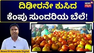 Tomato Prices Fall In Kolar | ನಾಟಿ ಟೊಮೆಟೊ ಬೆಳೆದ ರೈತರಿಗೆ ನಿರಾಸೆ..! | N18V