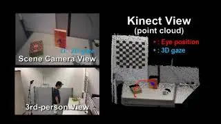 3D gaze tracking for Eye Tracking Glasses.