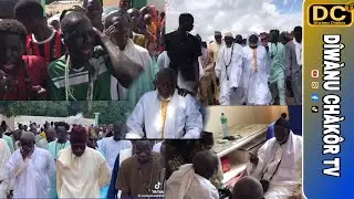 L’arrivée de Sangue Niane à Darou Cissé 🙏