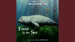 Beauty of the Ocean Forest