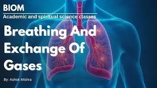 Breathing and it's type & structure of human respiratory system for class 11th NCERT and NEET 