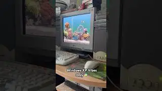 Windows XP Vibes Only 🐠 #nostalgia #windowsxp #screensaver #shorts #2000s #vibes