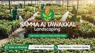 Dubai Plant Nursery  Indoor & Outdoor Plants for Sale  Sama Al Tawakkal Landscaping