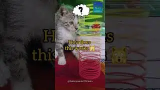 Gravity defying slinky drop | Physics behind falling slinky | Anti gravity Slinky like veritasium