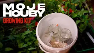 Moje Houby | Grow kit na pěstov&aacute;n&iacute; hub | Kompletn&iacute; představen&iacute; + kde objednat