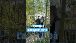 Tu as d&eacute;j&agrave; imagin&eacute; faire ton alternance &agrave; Disneyland Paris ? Spoiler : tu ne vas pas regretter. ✨