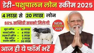 Top 5 livestock loan options for beginners | Best 5 Livestock Loans for Beginners