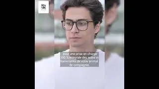 Comparez, &eacute;conomisez, prot&eacute;gez : assurance chien et chat pas ch&egrave;re #animaux #assurance