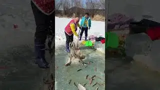 Зимняя рыбалка: радость, природа, снег и крупная рыба #рыба #шорты #рыбалка #шорты