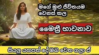 මගේ මුළු ජීව්තේ ම  වෙනනස් කල මෛත්&zwj;රී භාවනාව | Maitree bawanawa| law of attraction  🌈️🔮