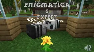Эксперт по Enigmatica 6 | Стальные пчелы и индукционные плавильни | Эпизод 12