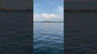 Glimpse of Serenity #music #water #trending #lofi #calm