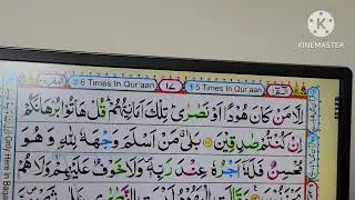 The Holy Qur'an translation of the word by word 110,112 سورت البقره لفظي ترجمه 110,112#quran #القرآن