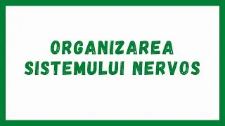 Capitolul 11 (partea II) | Barron's - Anatomie și fiziologie || Admitere Medicină