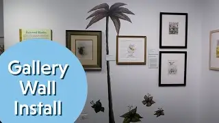 Gallery Wall Installation at the Dunn Museum