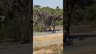 Biking Trip to Diu
