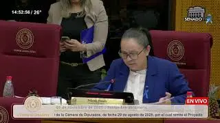 Sesi&oacute;n Extraordinaria de la C&aacute;mara de Senadores - 05-11-2025