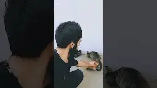 Nofel Yasamal _bes deyilmi darixdiğım gunlər ? S&ouml;z musiqi ifa Nofel...