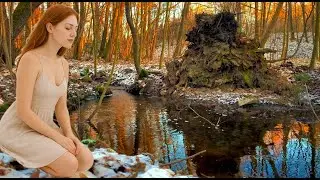 Peaceful Winter Stream Sounds 🌊 Nature ASMR for Sleep & Study