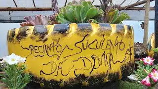 Venham ver o novo Recanto Suculento da Dinha 🥹🙏 Feliz Ano Novo!🥳🎊🍾
