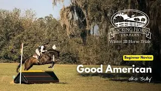 Good American aka Sully (Beginner Novice | 2025 Rocking Horse Winter III Horse Trials)