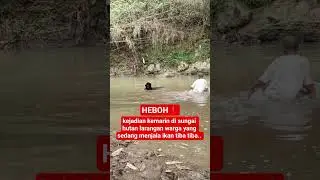 kejadian kemarin di sungai hutan larangan warga yang sedang menjala ikan tiba tiba #shortsviral