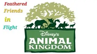 Disney's Animal Kingdom Feathered friends in flight bird show