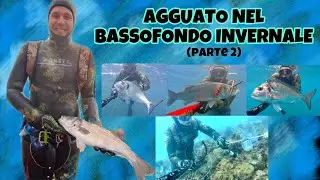 PESCASUB-Agguato nel Bassofondo Invernale (parte2)| SPEARFISHING- Ambush in the Winter Shallow Water