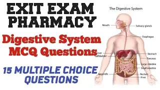 Digestive system in human/anatomy and physiology/MCQ Question/Exit Exam MCQ Question
