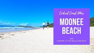 Central Coast Hikes | Moonee Beach Walking Track