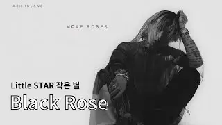 【Little STAR繁中翻譯】ASH ISLAND(애쉬아일랜드)- Black Rose | 歌詞/가사