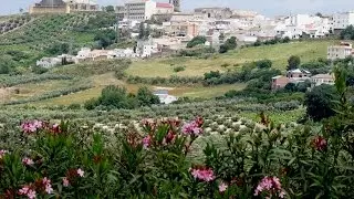 Places to see in ( Montilla - Spain )