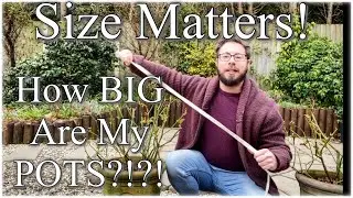 Size Matters! Revealing How Big Are My Pots! David Austin Roses!