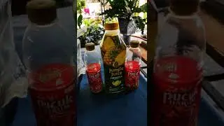 menu idul adha 2021😁😁😁