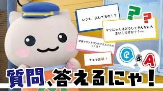 マリにゃん、質問に答えてみたにゃ！