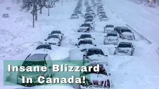 CRAZY VIDEO! Blizzard in Alberta, Canada (Nov 10, 2020)