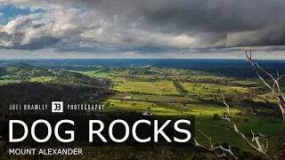 Dog Rocks