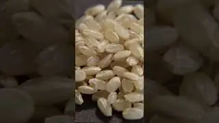 How ultra-premium sake is made. 🍶 #sake #rice #drinks