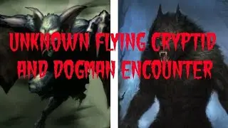 DOGMAN AND UNKNOWN FLYING CRYPTID ENCOUNTERS