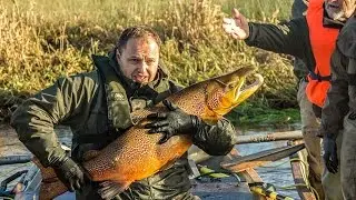 Sæson 2015 i Grindsted Sportsfiskerforening
