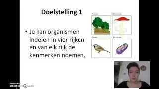 De vier rijken