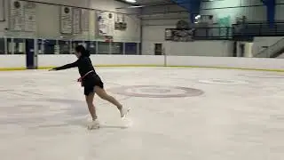 Jane adult gold skating skills