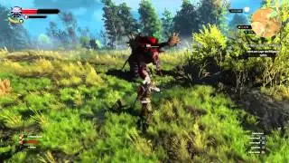 Witcher 3 - Awesome Fight against HUGE Monster - No Spoilers