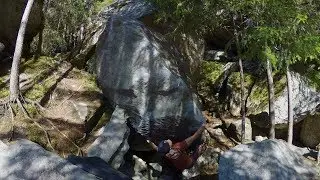 Magic Wood : King Kong 7a+